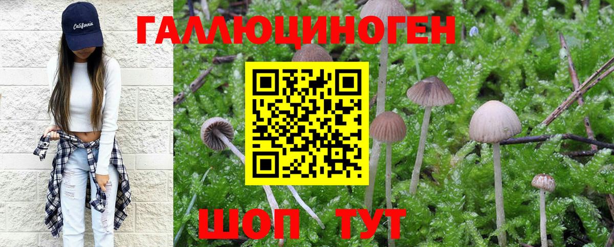Псилоцибиновые грибы Magic Shrooms Донецк