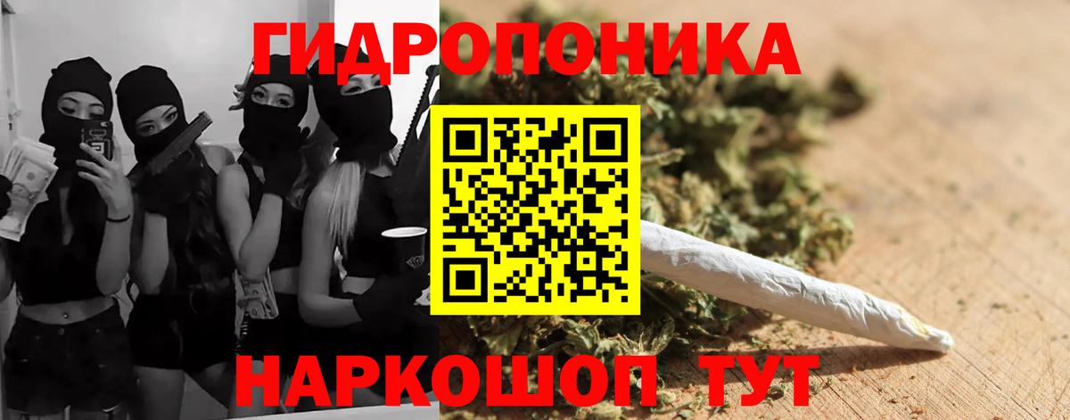 Бошки Шишки семена  Бошки Шишки Amnesia  Каннабис THC 21%  Донецк  Вход с VPN 